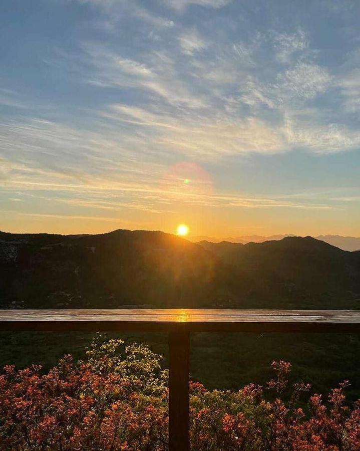Camp Oaza,Lipa Otel Cetinje Dış mekan fotoğraf