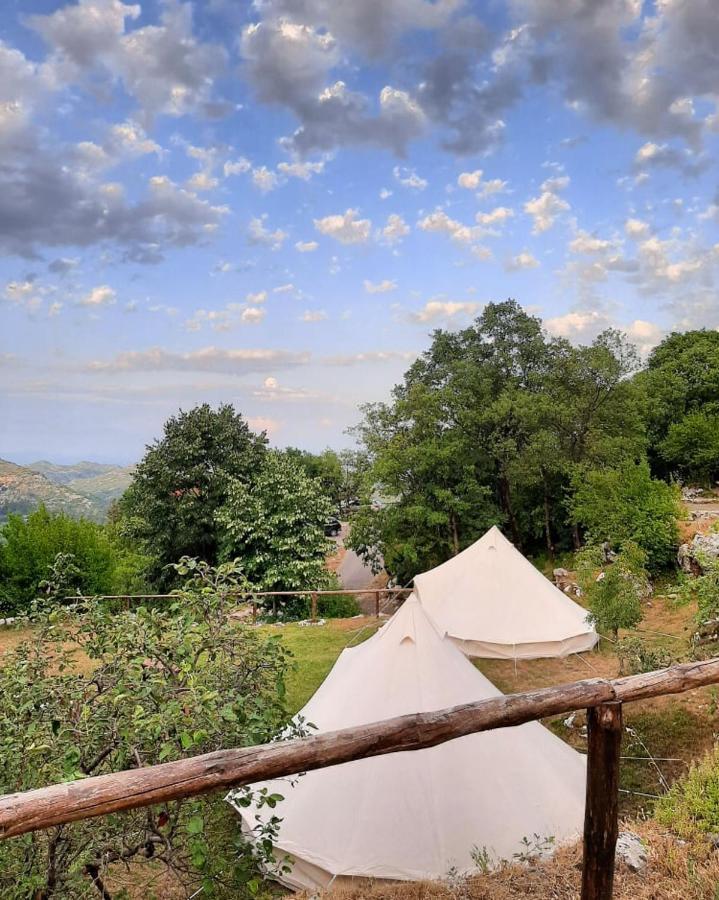 Camp Oaza,Lipa Otel Cetinje Dış mekan fotoğraf