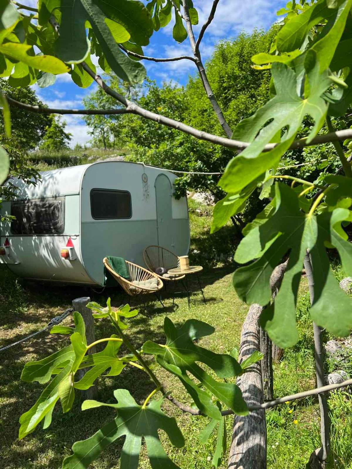 Camp Oaza,Lipa Otel Cetinje Dış mekan fotoğraf