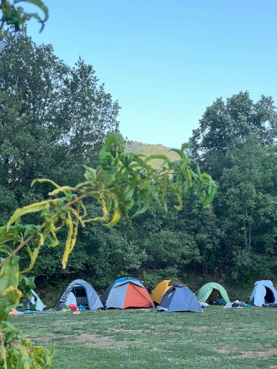 Camp Oaza,Lipa Otel Cetinje Oda fotoğraf