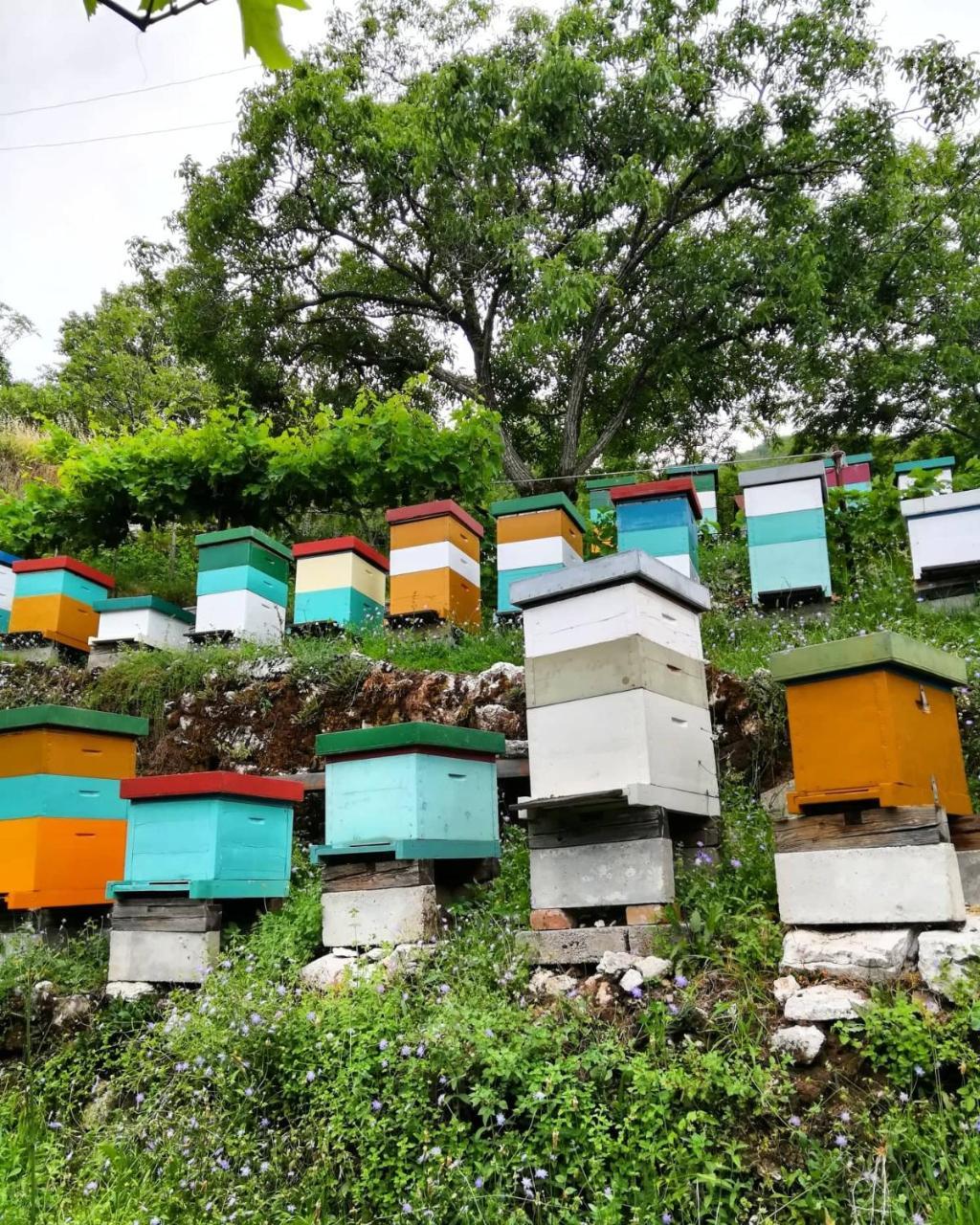 Camp Oaza,Lipa Otel Cetinje Dış mekan fotoğraf